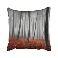 Zimski krajolik crvene šume Šarena priroda jesen jeseni kiša ljepota magla magla jastuka jastuka jastuka