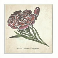 _ Botanički uzorak cvijeta karanfila crveno-zeleni dizajn umjetnički tisak bez okvira zidna umjetnost, 13.19