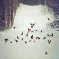 Prijatelji pernate ptice u snježnom plakatu tisak - Carrie Ann Grippo -Pike