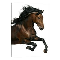 Slike, smeđi konj, 16x20, ukrasna platna zidna umjetnost