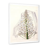 DesignArt 'Bijela vintage orhideja I' tradicionalni uokvireni umjetnički tisak