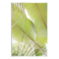 Stupell Tropical Palm Modern View Botanička i cvjetna fotografija zidna ploča Umjetnička umjetnost Umjetnička