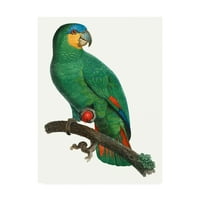 Zaštitni znak likovna umjetnost 'papiga tropa i' platna umjetnost od Barrabanda