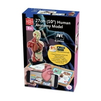 10 ljudska anatomija inačica