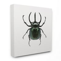 Stupell Industries Beetle Horned Crnozeleni životinjsko fotografiranje platno zidna umjetnost po dizajnu Fabrikken,