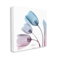 Stupell Industries neprozirna silupada tulipana plava ružičasta fotografija dizajn Alberta Koetiera, 24 24