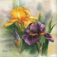 Žuti i ljubičasti ispis plakata irisa - Anastasiia bededina