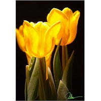 Zaštitni znak likovna umjetnost Martha Guerra 'žuti tulipani' platno umjetnost