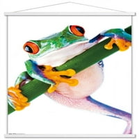 Zidni plakat žabe s magnetskim okvirom, 22.375 34