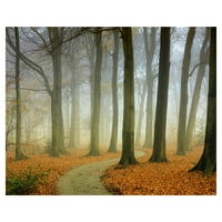 Umjetnička galerija remek-djela maglovita vijugava jesenska šuma Larsa van de Goora platno, foto-umjetnički tisak