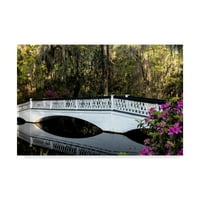 Zaštitni znak likovne umjetnosti krajolik platno umjetnost 'Reflections White Bridge' od strane Dannyja Head